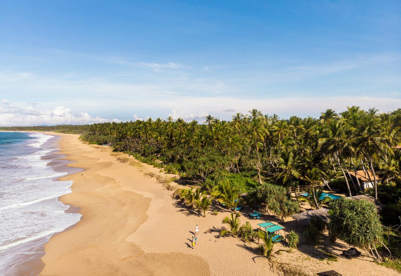 Seven Turtles Hotel Tangalle Kültér fotó